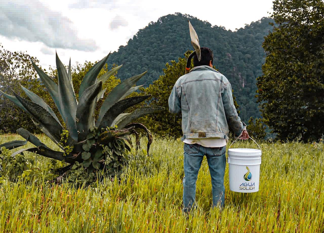 Agua Sólida te Cambia la Vida