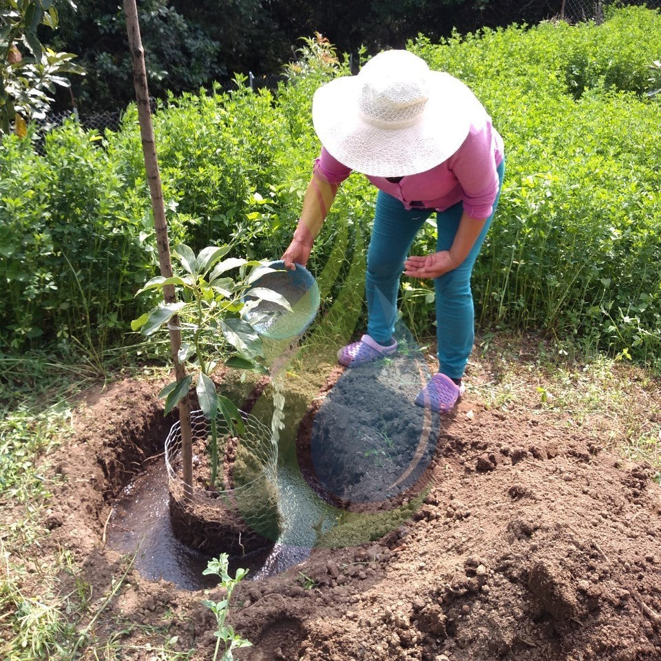 Agua Sólida-Agua Sólida Aquasafe Pro
