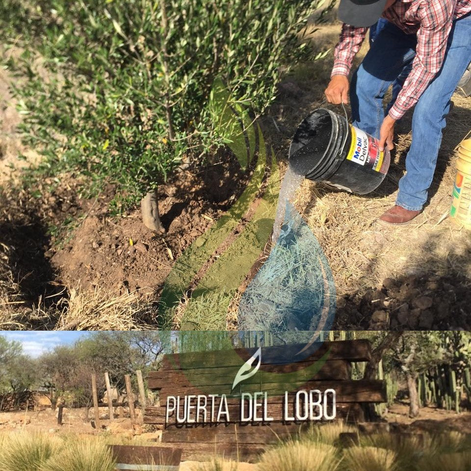Agua Sólida-Agua Sólida Aquasafe Pro