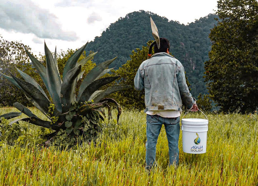 Agua Sólida te Cambia la Vida